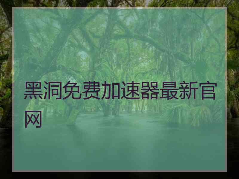 黑洞免费加速器最新官网