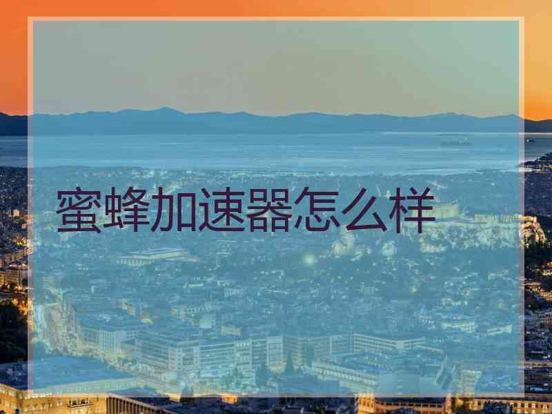 蜜蜂加速器怎么样