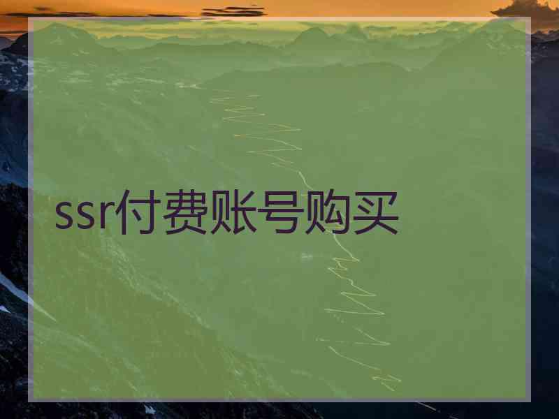ssr付费账号购买