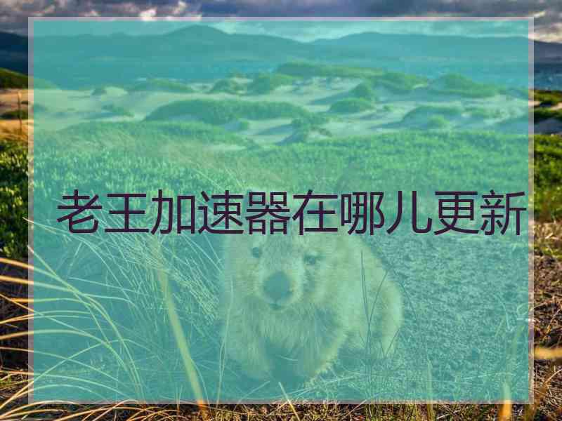 老王加速器在哪儿更新