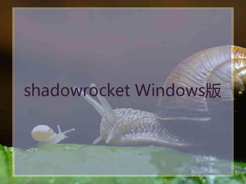 shadowrocket Windows版