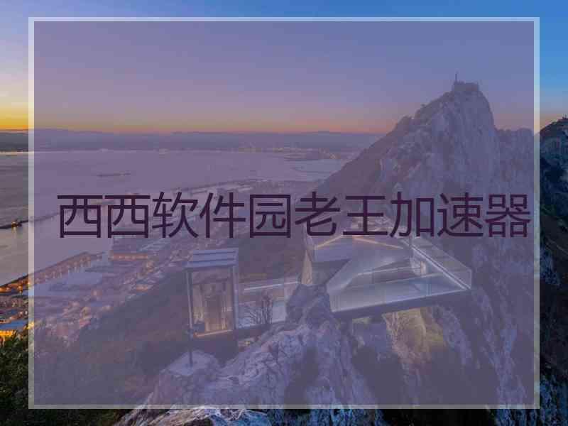 西西软件园老王加速器