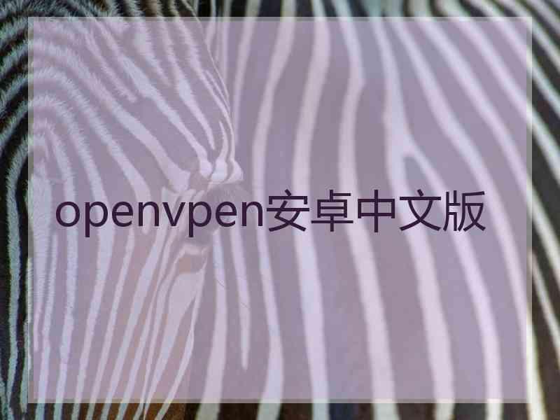 openvpen安卓中文版